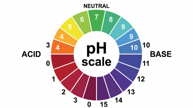 An educational representation of the pH scale, visualizing acidity and basicity in a colorful circular format, serving as a learning tool for chemistry enthusiasts.