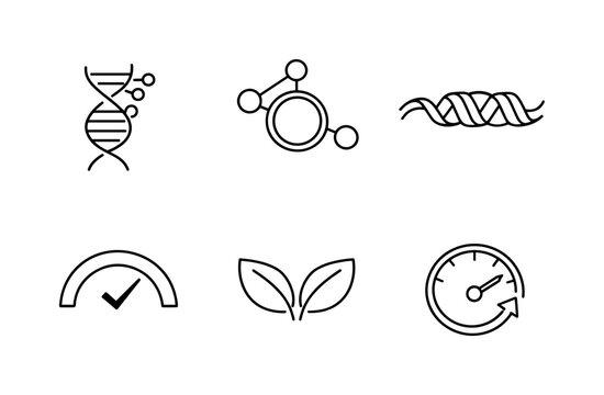 Line style icons of molecular age clocks: DNA methylation mark, epigenetic ring node, chromatin state band, molecular tick arc,