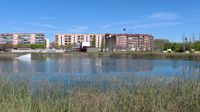 Ducks swimming in the lake at Parc Central, Santa Perpetua, 4k