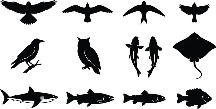 Silhouettes of Flying Birds, Perching Owl and Crow, Various Fish Species, Shark, Stingray, and Aquatic Wildlife Isolated on White Background