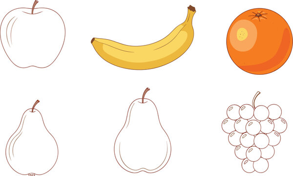 Colorful Hand-Drawn Fruit Vector Illustration Set