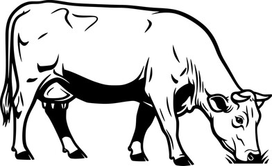 Fototapeta premium Grazing Cow Silhouette Farm Animal Livestock Rural Dairy Farming Nature Vector