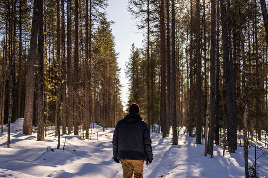 Winter walk on snowy forest trail in Finland wilderness
