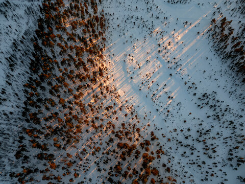 Aerial winter forest and snowy field in Finland at sunset