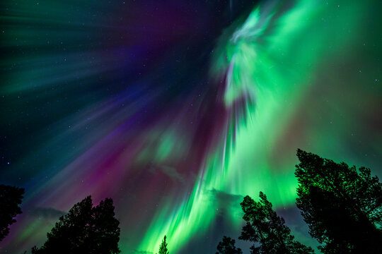 Northern lights over Finnish forest under starry night