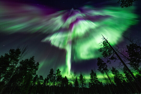 Aurora borealis over forest in Finland night sky scene