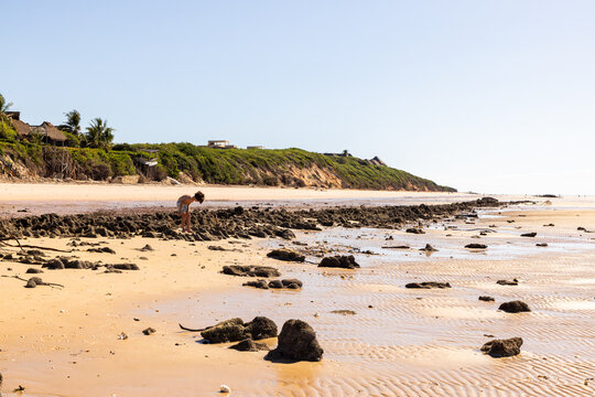 family walking beach, Vilankulos, Mozambique, Africa
