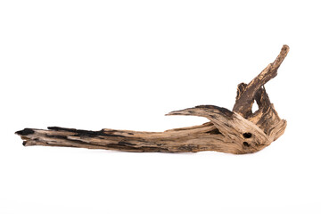 Fototapeta premium Driftwood aged wood isolated on white background. Piece of driftwood driftwood close up for aquarium.