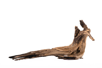 Fototapeta premium Driftwood aged wood isolated on white background. Piece of driftwood driftwood close up for aquarium.