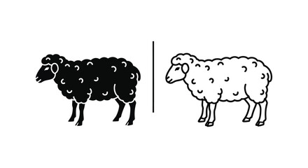 Fototapeta premium Black vs White Sheep: Wool Breed Comparison Guide Vector