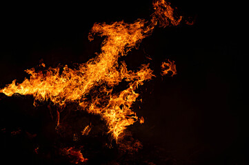 Obraz premium intense fire consuming burning branches in the darkness