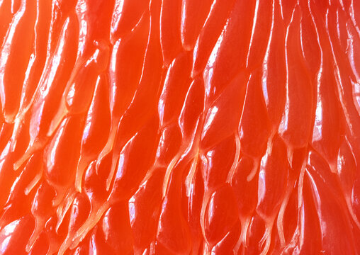 Macro texture of red grapefruit, citrus pulp closeup pattern