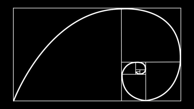 line animation of golden ratio Fibonacci sequence golden number.Golden ratio transparent video .4k motion video animation.