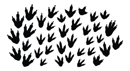 Dinosaur footprint silhouettes set, prehistoric reptile track collection, black bird and lizard paw prints, ancient animal trail vector icons © MD