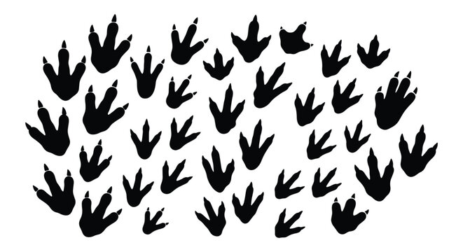 Dinosaur footprint silhouettes set, prehistoric reptile track collection, black bird and lizard paw prints, ancient animal trail vector icons