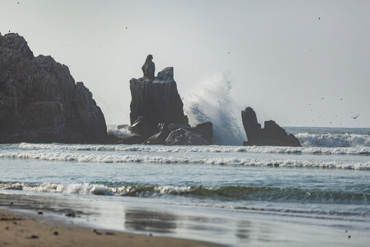 Powerful Ocean Waves crashing on Rocks with Sea Birds in Peru