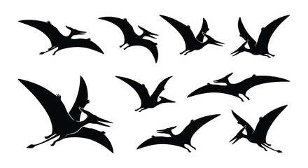 Pterodactyl silhouette collection, prehistoric flying dinosaur vector set, black pterosaur icons in flight, 9 ancient reptile elements © MD