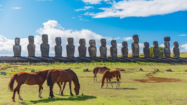  Iconic Moai Statues at Ahu Tongariki with Wild Horses on Easter Island with copy space