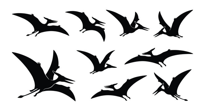 Pterodactyl silhouette collection, prehistoric flying dinosaur vector set, black pterosaur icons in flight, 9 ancient reptile elements