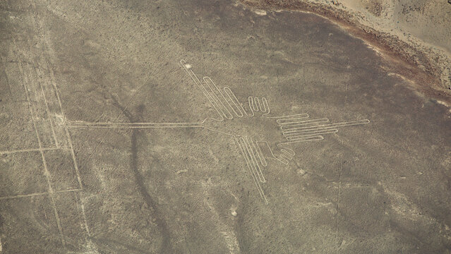 Aerial view of ancient Nazca Hummingbird geoglyph in Peru with copy space