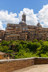Obraz premium Vertical View of Siena Cathedral Above Historic Buildings