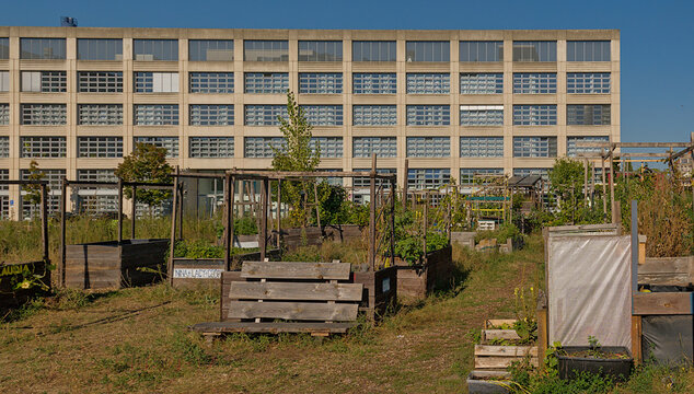 Urban community gardens on a sunny autumn day in Berlin, Germany 