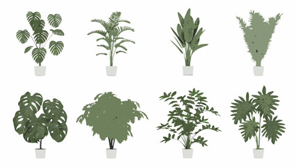 Collection of various green potted houseplants arranged in a grid pattern © SreeDulal