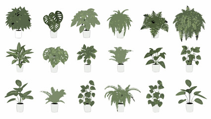 Collection of various potted houseplants arranged in a grid pattern © SreeDulal