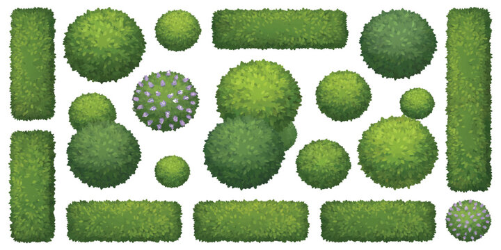 Set of top view green garden bushes and hedge elements for landscape architecture design vector illustration