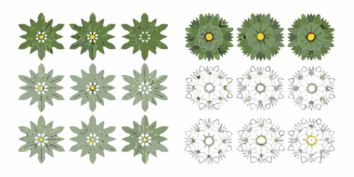 Arrangement of stylized edelweiss flowers in various colors and forms