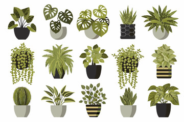 Collection of various potted tropical plants in a flat vector style © Liton