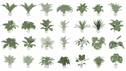 Collection of diverse potted houseplants arranged on a white background © Biplab