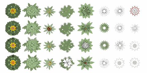 Collection of stylized top down illustrations of various flowering plants © Biplab