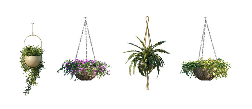hanging plant pots (suspended planters, hanging baskets) isolated PNG on a transparent background premium nature cutout