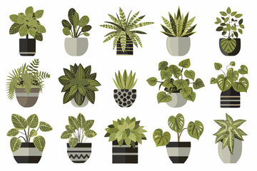 A collection of various potted houseplants displayed in a flat graphic style © Parash