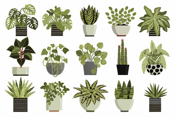 A colorful collection of various potted houseplants on a white background © PolyRani