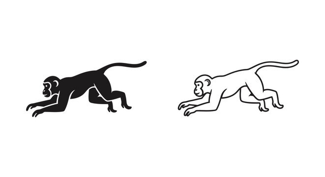 Monkey Movement Evolution Illustration Guide Vector