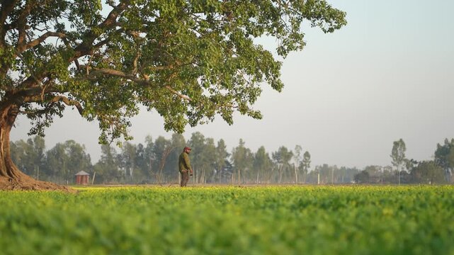 Man walking with smartphone, casual moment of a man walking while holding a smartphone, everyday lifestyle vibe, modern connection, natural light, candid feel, relatable and simple story