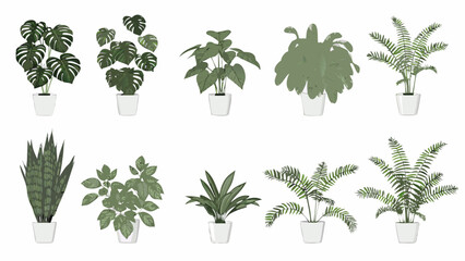 A collection of various potted indoor plants on a white background © ShreeShuvoKumar