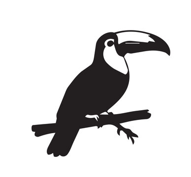 Silhuetas de animais - Tucano