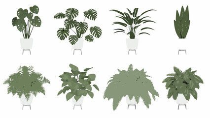 Collection of various potted houseplants arranged on a white background © ChandanaRani