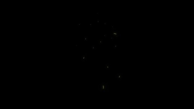 Neon yellow anatomical heart drawing animation glowing medical line art on black background