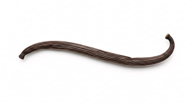Dark Brown Vanilla Bean Pod Curving on White Background