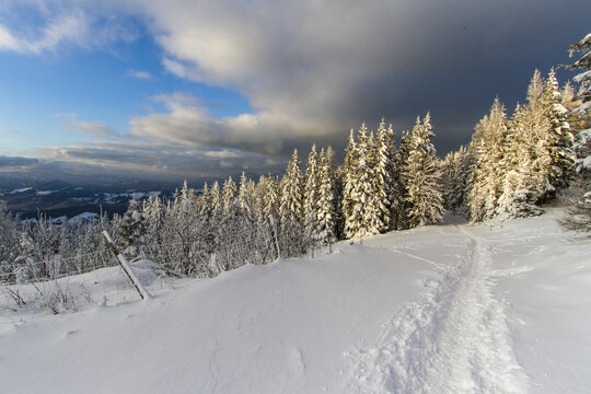 View of a snow-laden path cutting through the winter landscape, evergreen trees glistening under the sun against a backdrop of imposing clouds, Schockl, Styria, Austria.