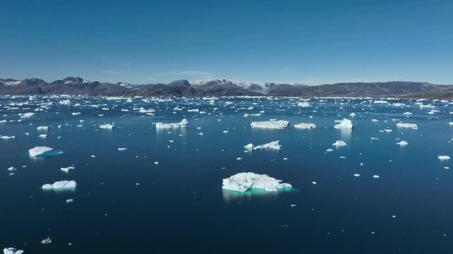 Drone shot of icebergs floating in a large fjord of East Greenland