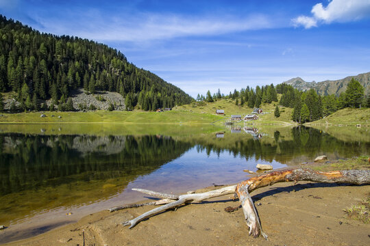 View of a serene lake mirroring the sky and trees, with a fallen branch on the sandy shore, offering a tranquil vista in Duisitzkarsee, Styria, Austria.