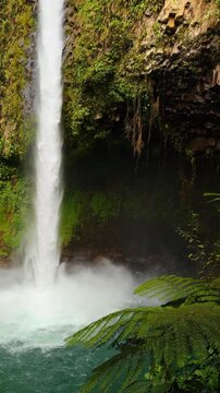 Powerful waterfall splashing into pool with fern leaves foreground. Vertical shot of a tall white waterfall cascading into a green basin with tropical fern fronds in Costa Rica.