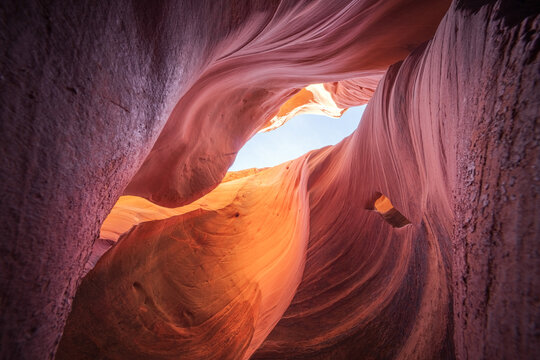 View of smooth, sculpted sandstone walls curve and twist, a dance of light and shadow leading the eye to a glimpse of the sky above, Escalante, Utah, United States.