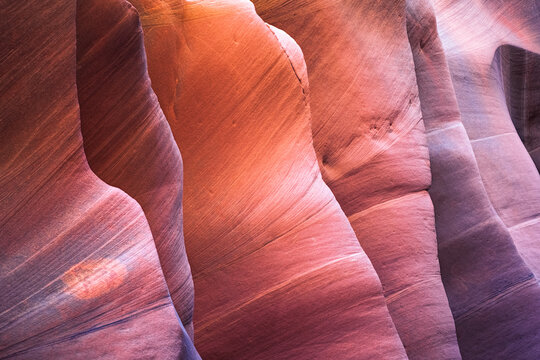 View of the vibrant, undulating sandstone formations sculpted by time and elements, creating a mesmerizing dance of light and shadow, Escalante, Utah, United States.