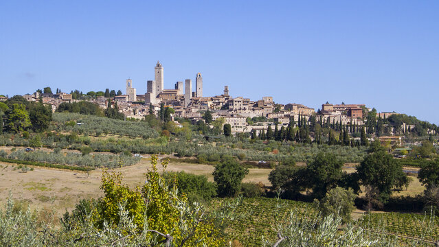 View of the medieval skyline punctuated by towers rising from the rolling green hills under a clear blue sky, San Gimignano, Tuscany, Italy.